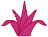 mayarosa.png